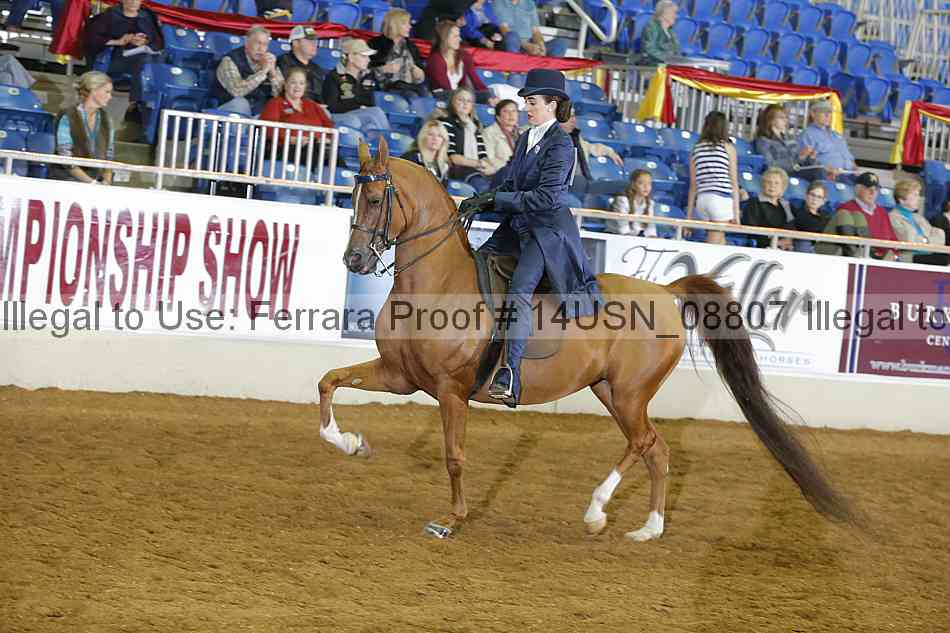 Proof 14usn_08807