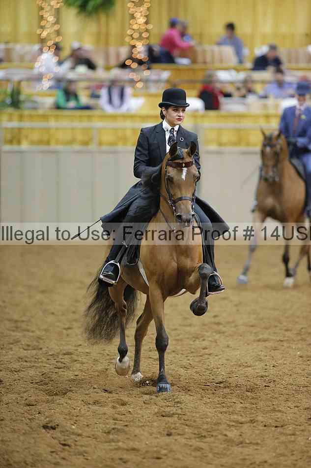 Proof 14usn_08808