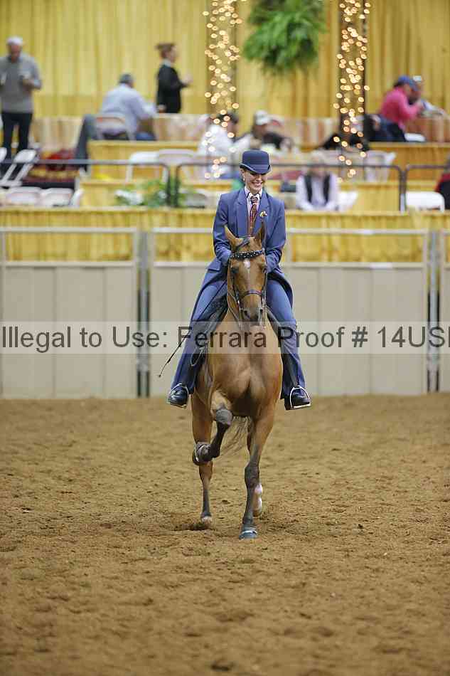 Proof 14usn_08810
