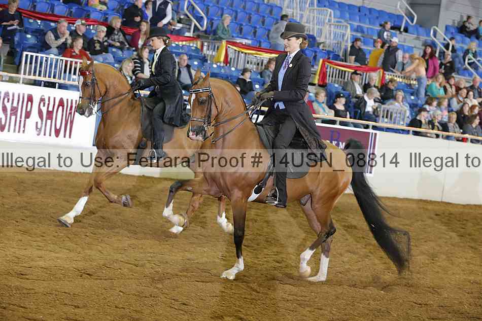 Proof 14usn_08814