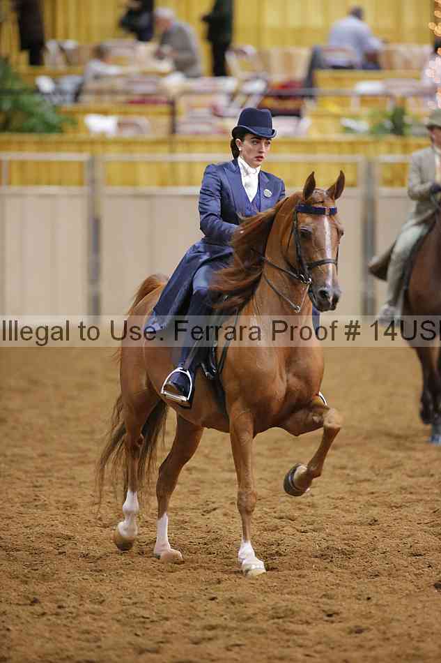 Proof 14usn_08816