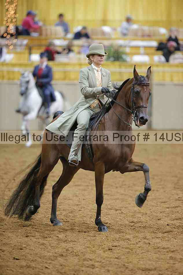 Proof 14usn_08818