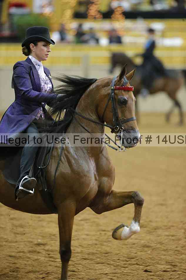 Proof 14usn_08828