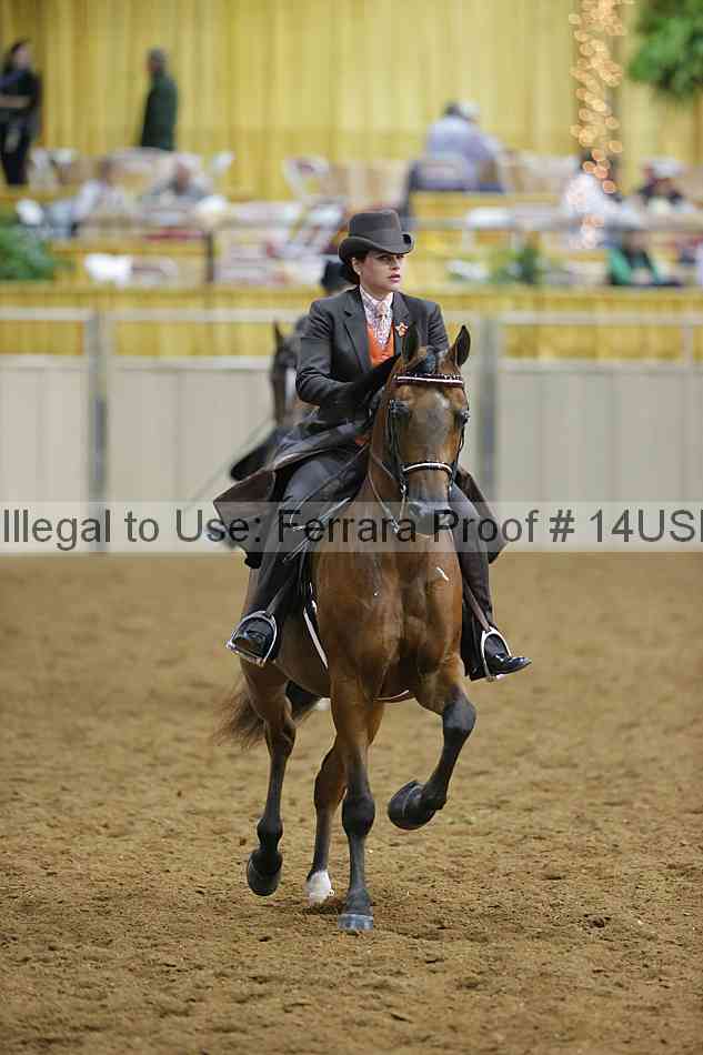 Proof 14usn_08837
