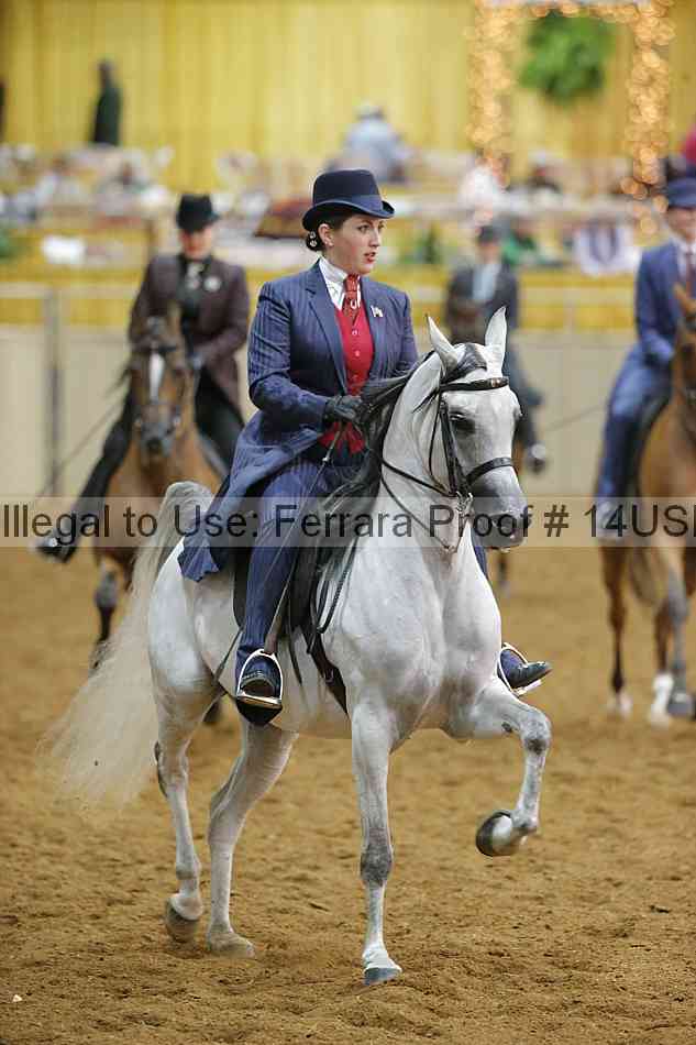 Proof 14usn_08838
