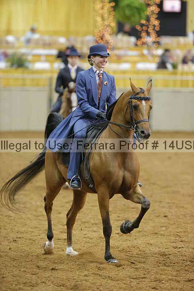 Proof 14usn_08839
