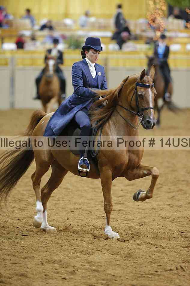 Proof 14usn_08845
