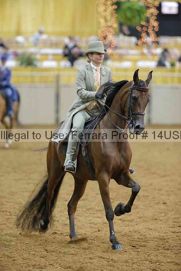 Proof 14usn_08849