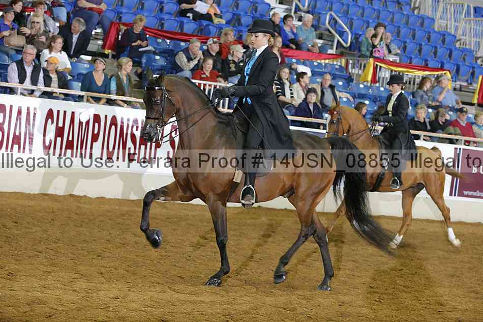 Proof 14usn_08855