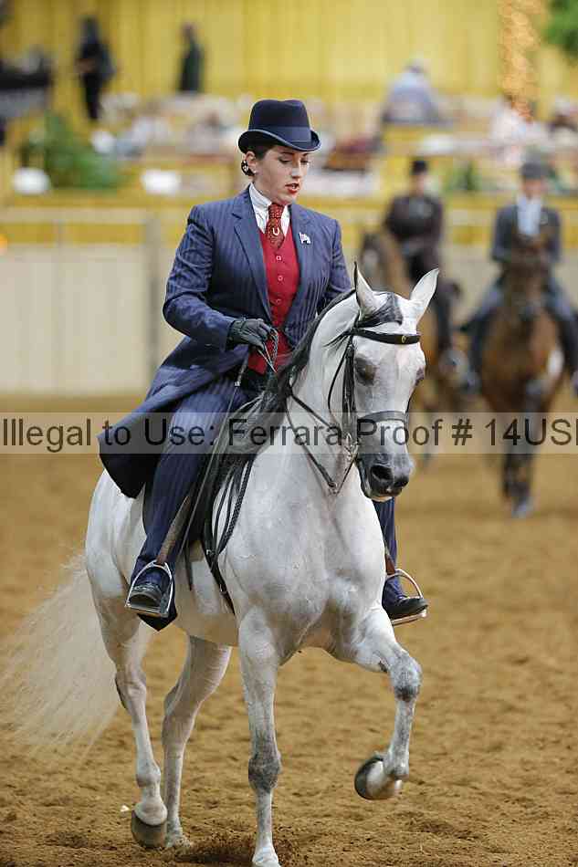 Proof 14usn_08856