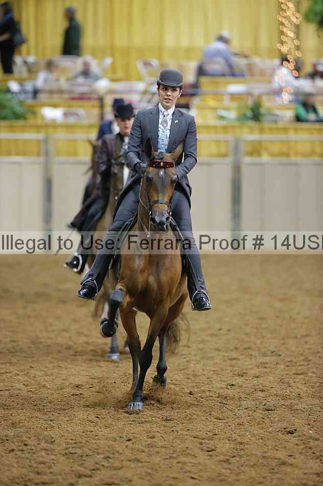Proof 14usn_08857