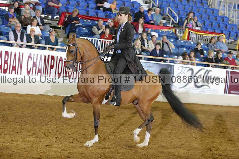 Proof 14usn_08863