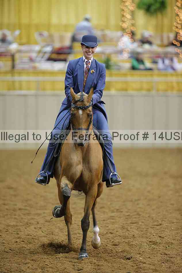 Proof 14usn_08869