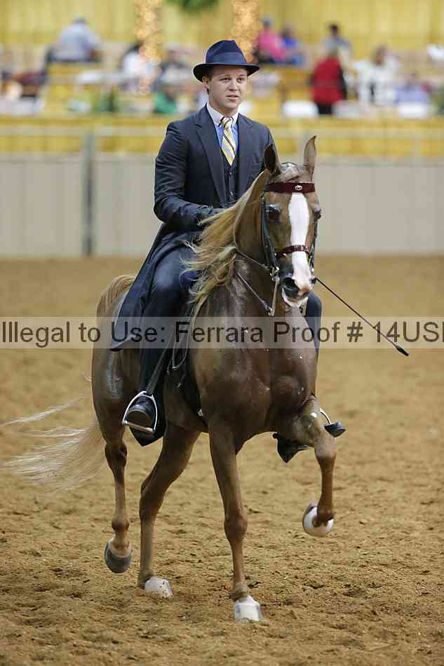 Proof 14usn_08894
