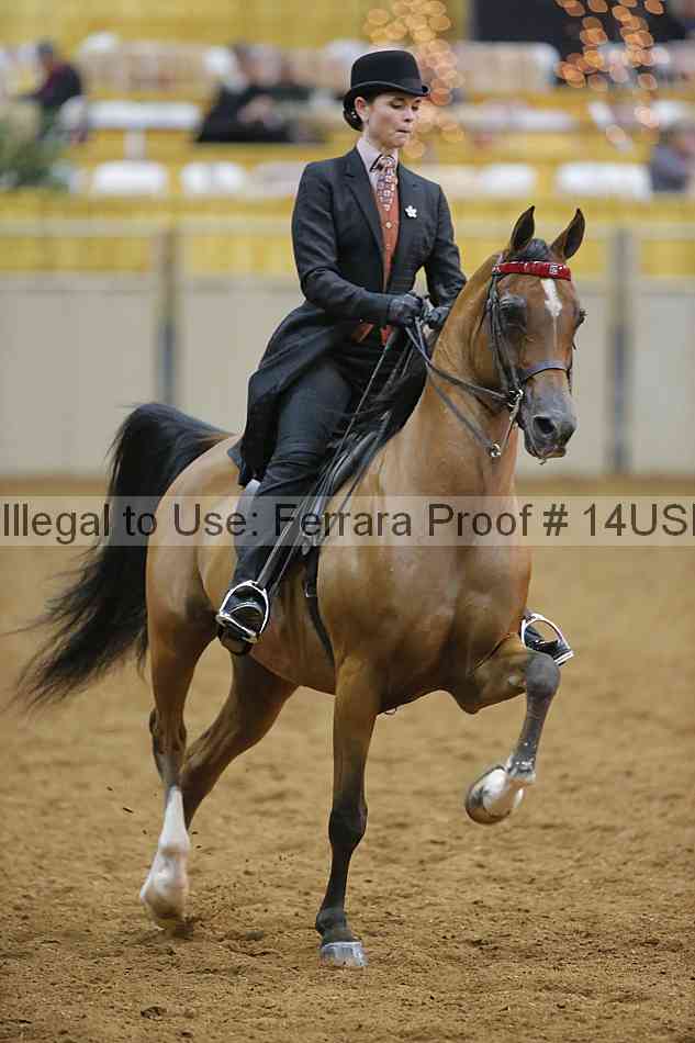 Proof 14usn_08928