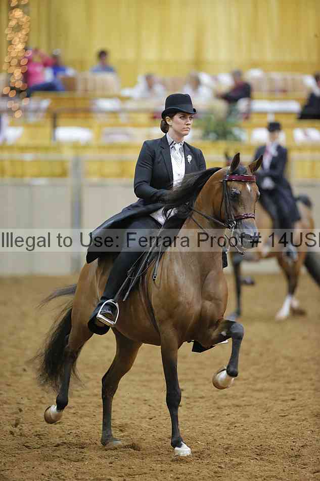 Proof 14usn_08936