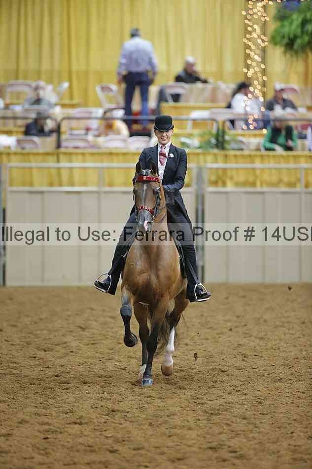 Proof 14usn_08937