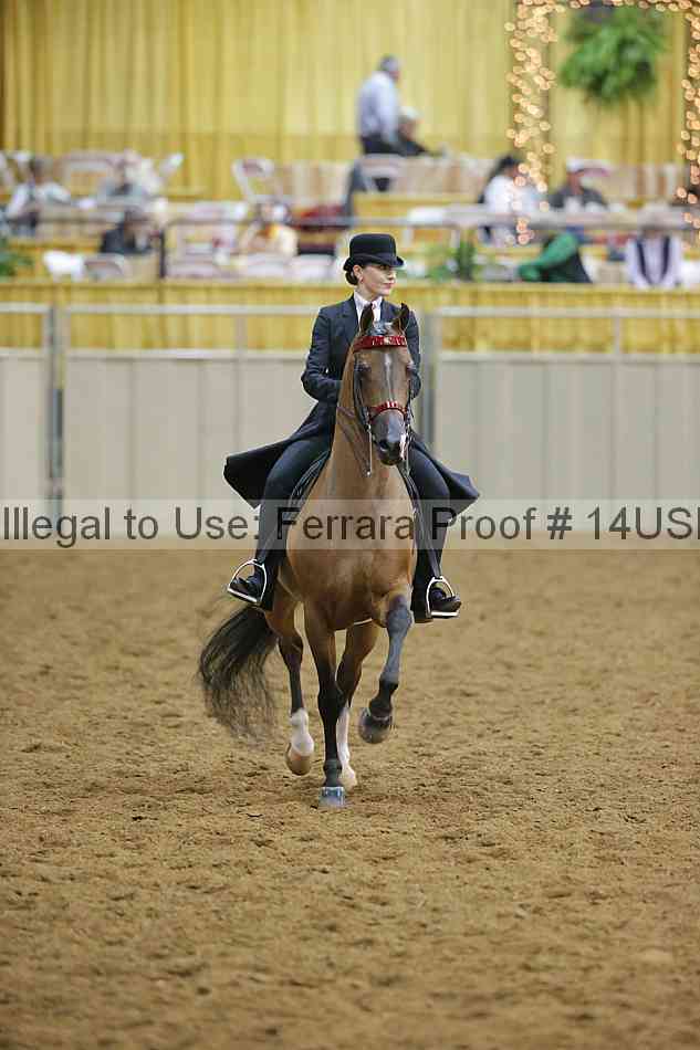 Proof 14usn_08938
