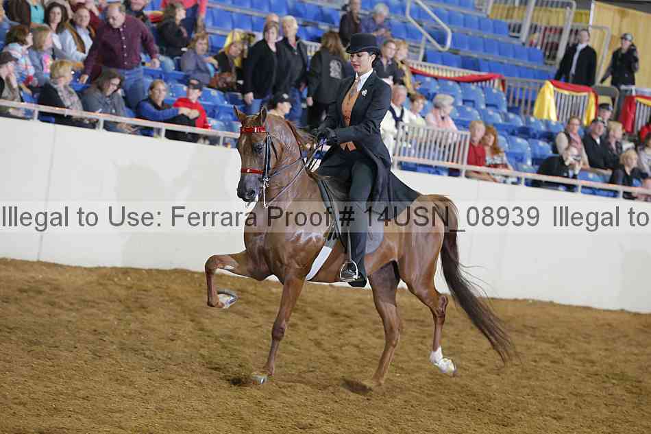 Proof 14usn_08939