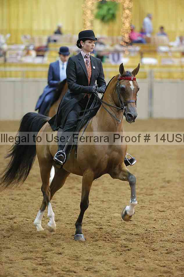Proof 14usn_08944