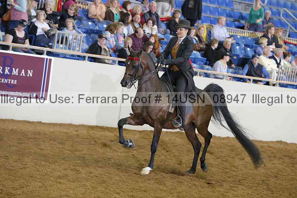 Proof 14usn_08947
