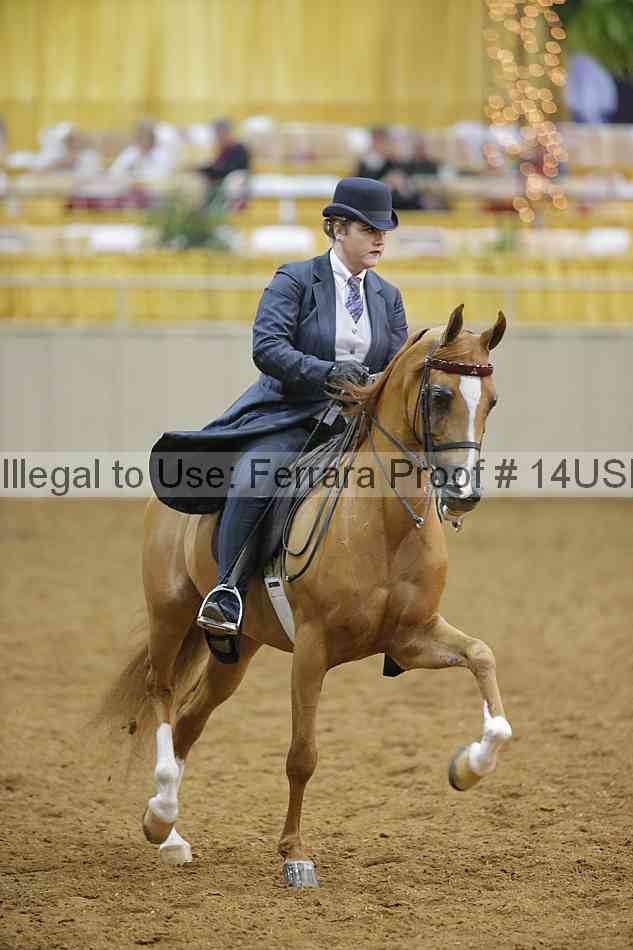 Proof 14usn_08949
