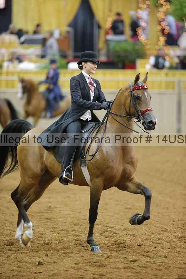 Proof 14usn_08953