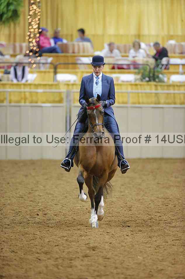 Proof 14usn_08955