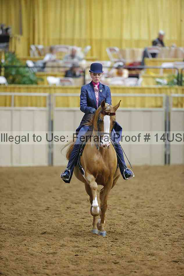 Proof 14usn_08956