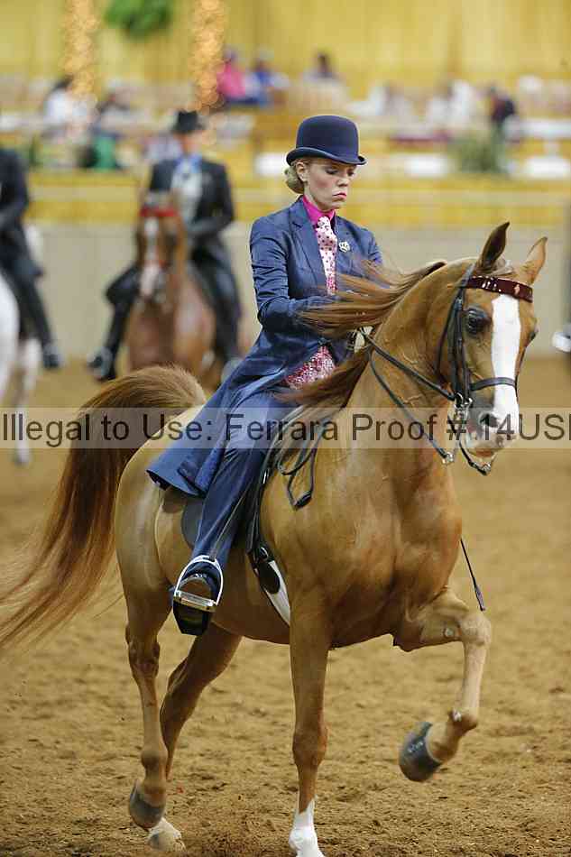 Proof 14usn_08957