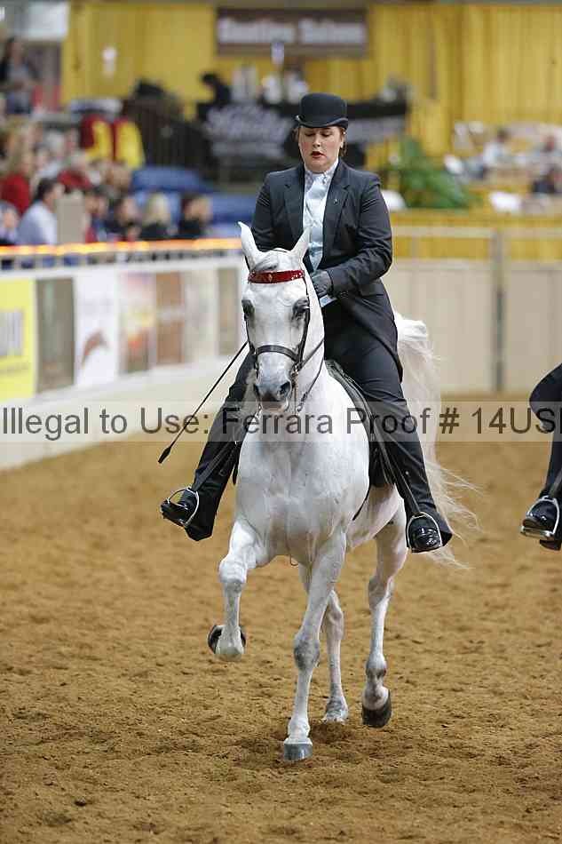 Proof 14usn_08960