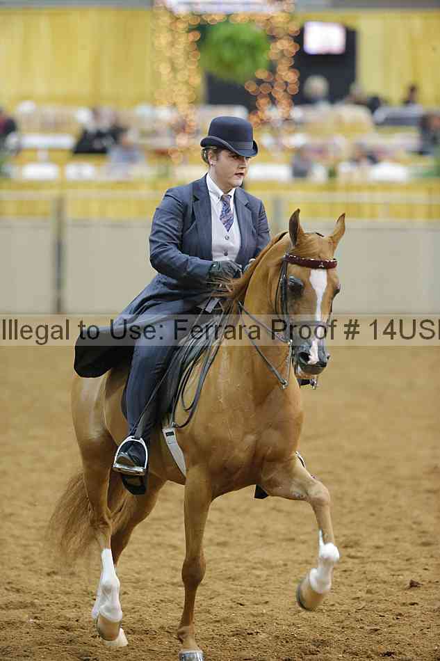 Proof 14usn_08962