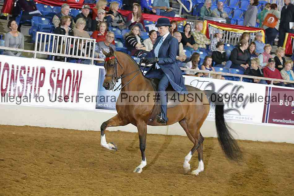 Proof 14usn_08966