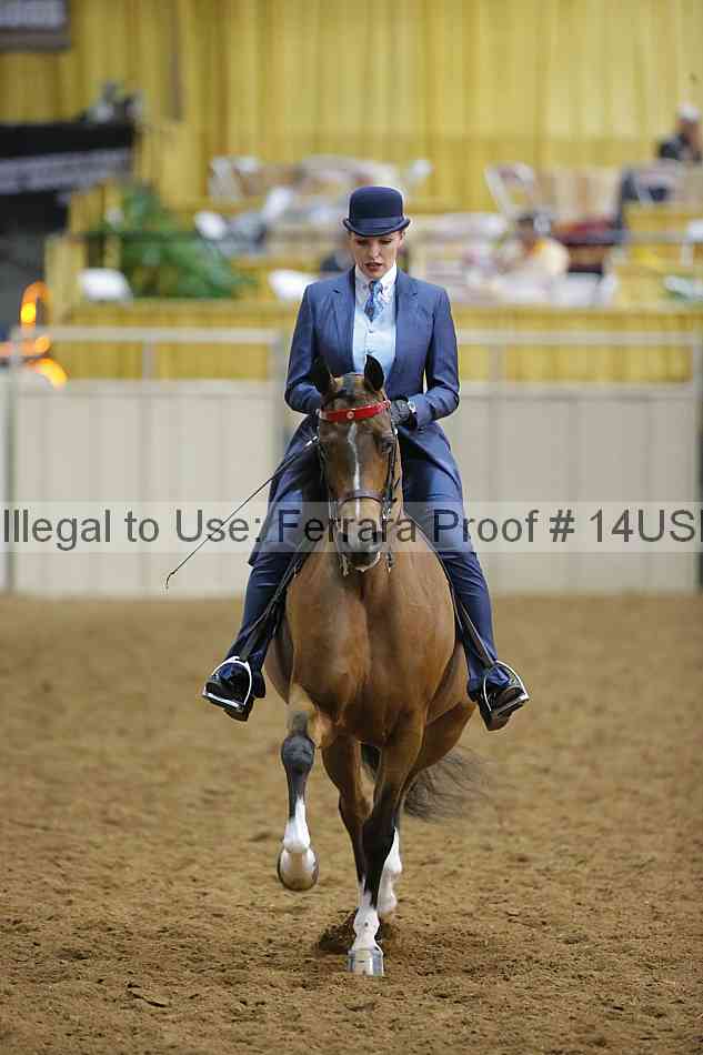 Proof 14usn_08972