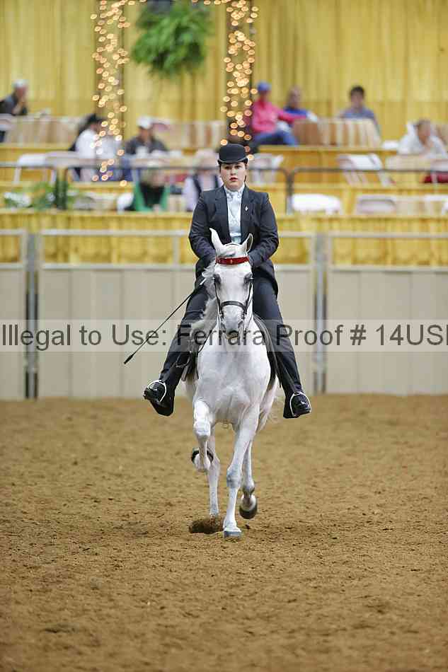 Proof 14usn_08976