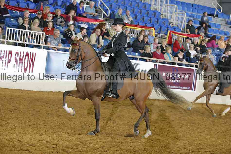 Proof 14usn_08977