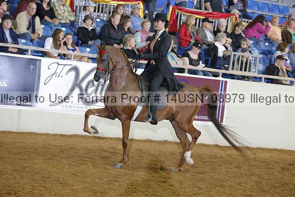 Proof 14usn_08979