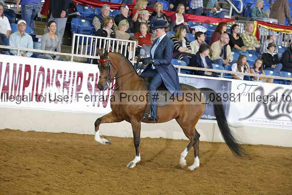 Proof 14usn_08981