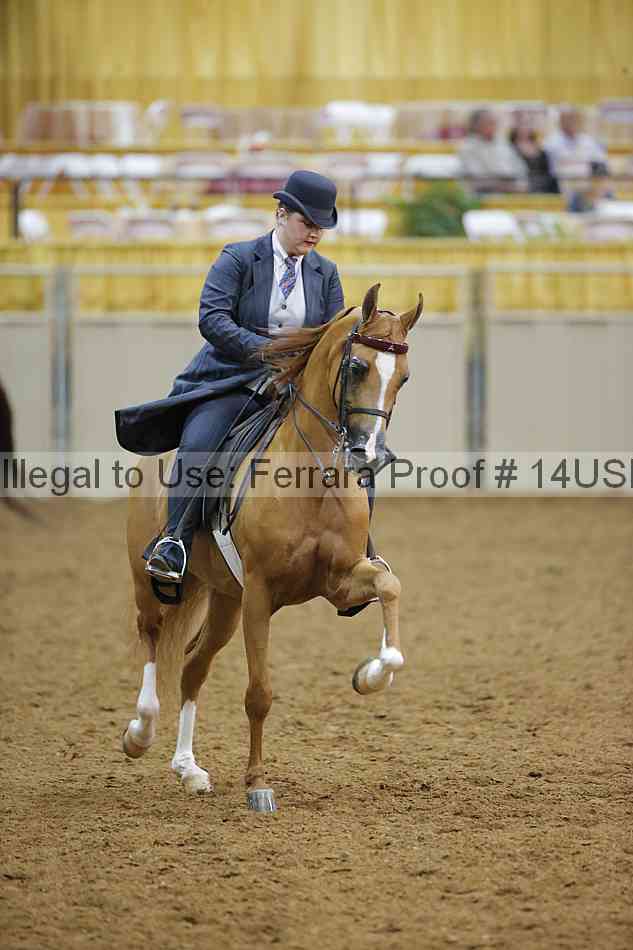 Proof 14usn_19118