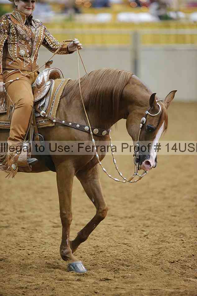 Proof 14usn_09285