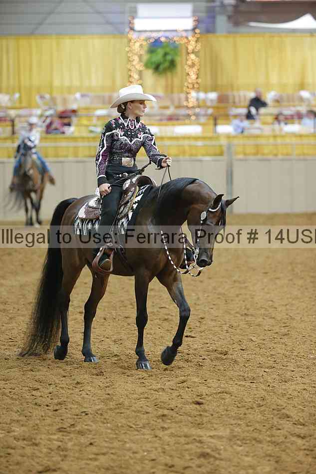 Proof 14usn_09287