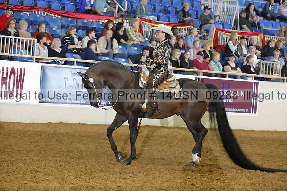 Proof 14usn_09288