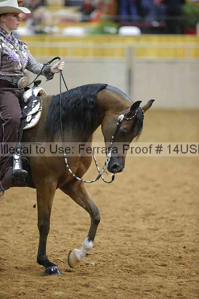 Proof 14usn_09292