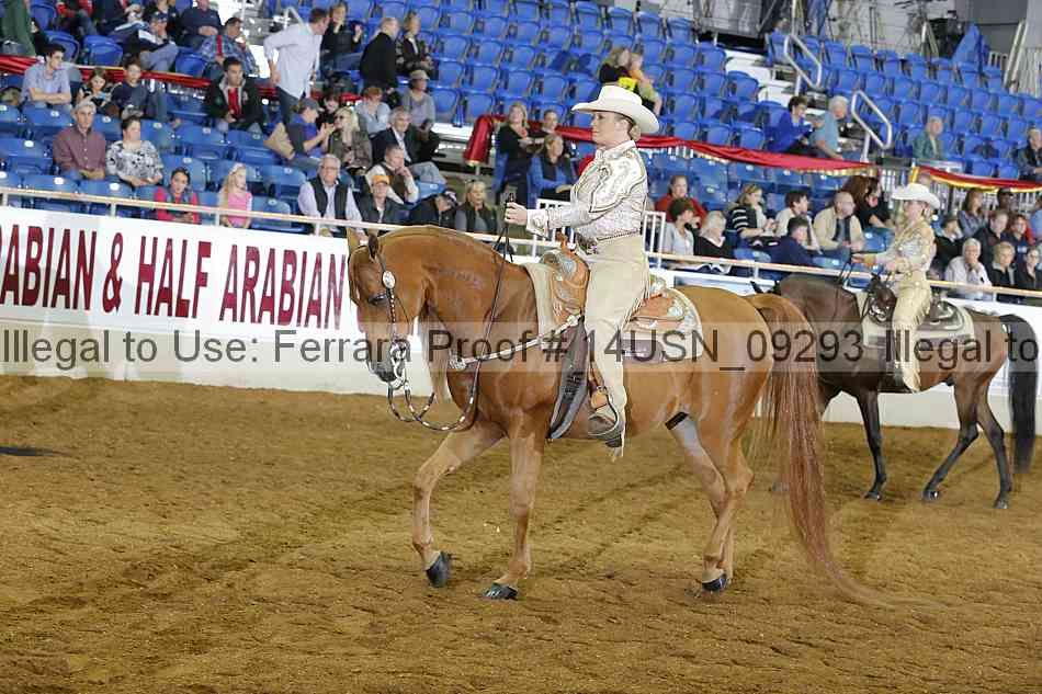 Proof 14usn_09293