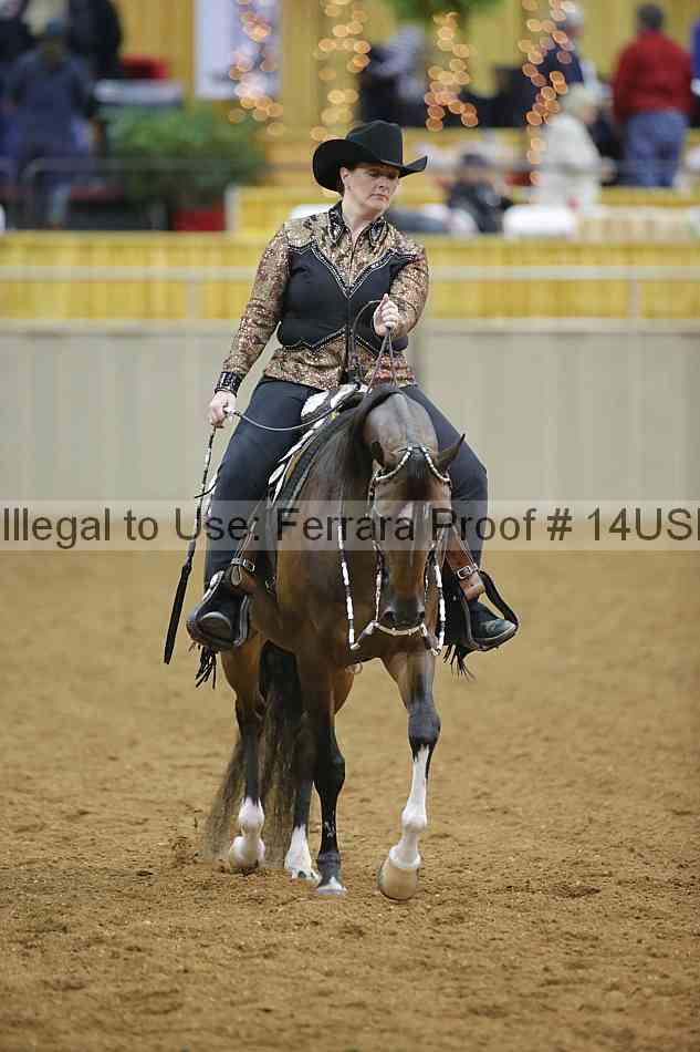 Proof 14usn_09299