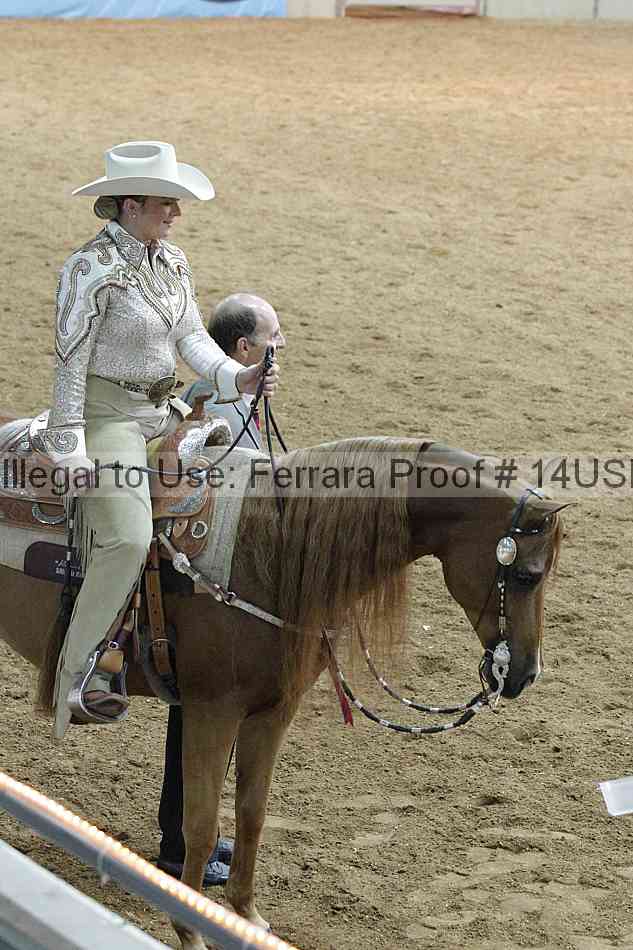 Proof 14usn_09335