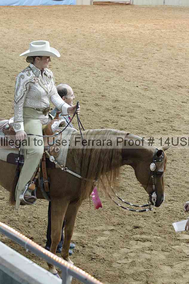 Proof 14usn_09336