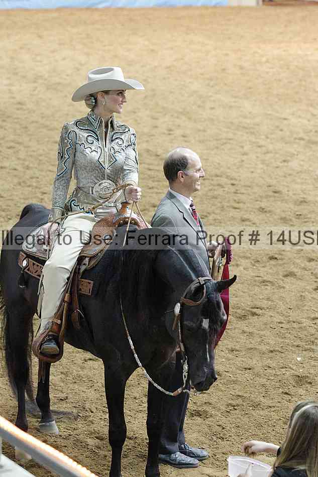 Proof 14usn_09342
