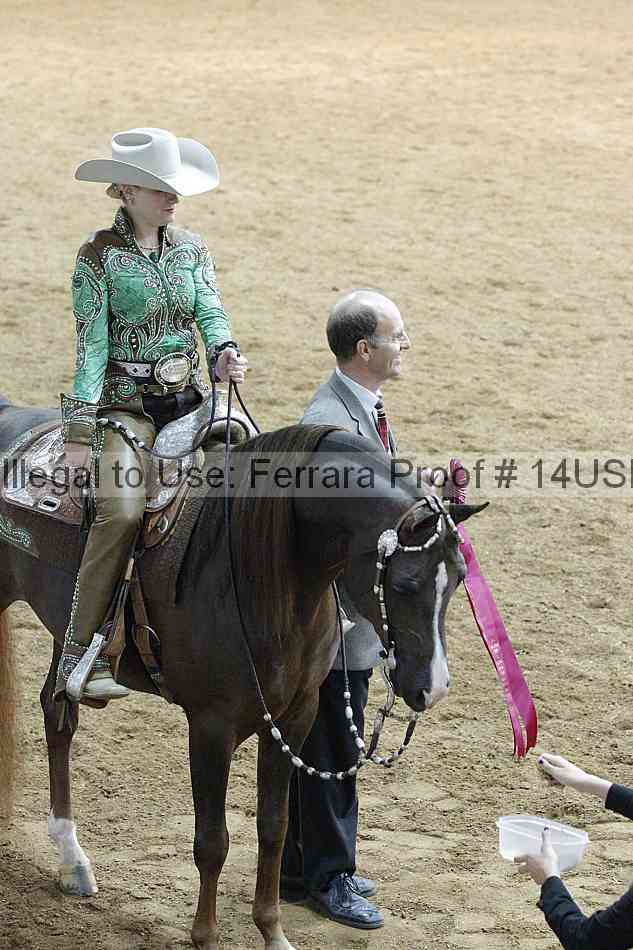 Proof 14usn_09358