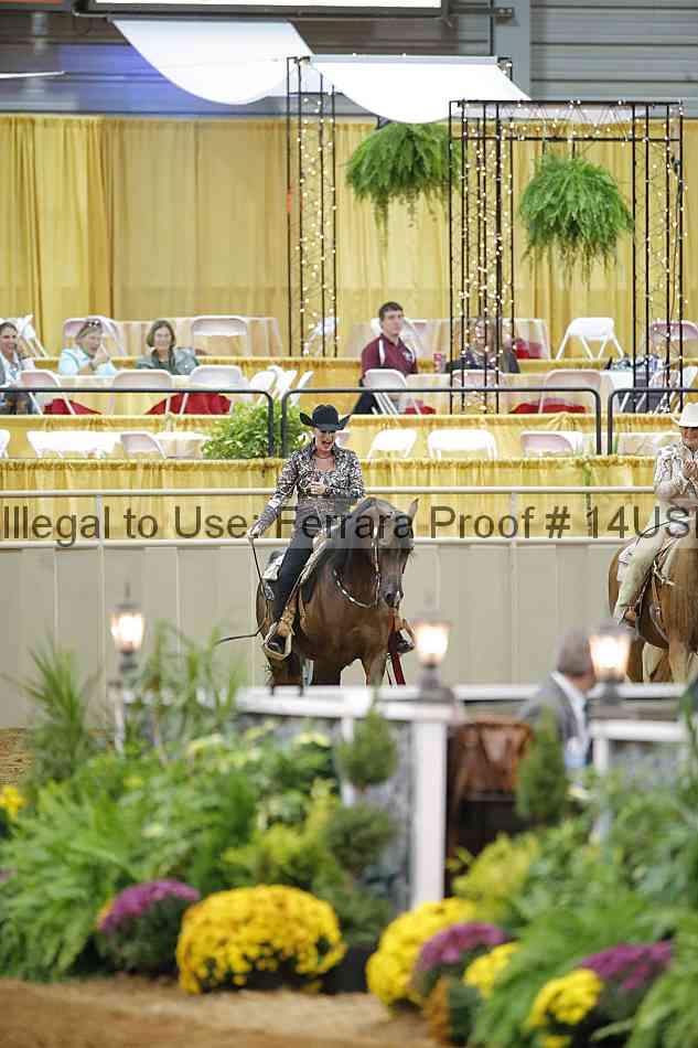 Proof 14usn_09367